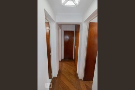 Corredor de apartamento para alugar com 3 quartos, 83m² em Tucuruvi, São Paulo