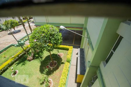 vista de apartamento para alugar com 2 quartos, 60m² em Jardim Paulicéia, Campinas