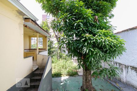 Casa à venda com 584m², 5 quartos e 3 vagas Casa à venda com 584m², 5 quartos e 3 vagasCasa 2 - Vista do Quarto 2