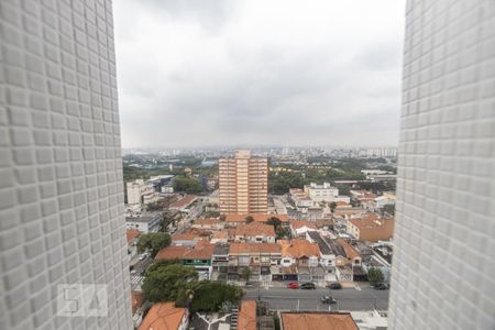 Apartamento à venda com 427m², 4 quartos e 4 vagasVista Banheiro Suite 2