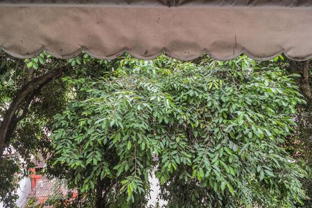 Vista da Sala de apartamento para alugar com 2 quartos, 58m² em Pechincha, Rio de Janeiro