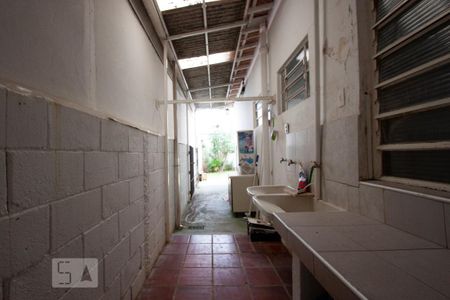 Área de serviça de casa para alugar com 3 quartos, 150m² em Jardim Planalto, Campinas