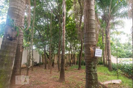 Studio para alugar com 55m², 1 quarto e 1 vagaBosque