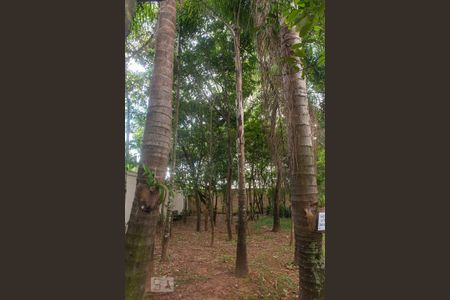 Studio para alugar com 55m², 1 quarto e 1 vagaBosque