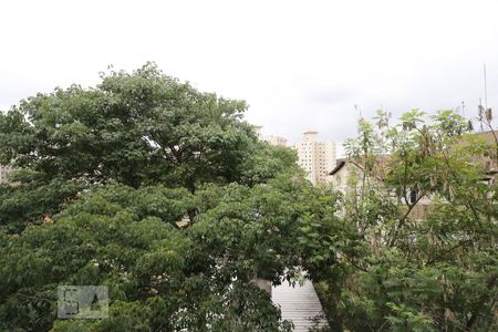 Vista Sala de apartamento para alugar com 2 quartos, 51m² em Vila Inglesa, São Paulo
