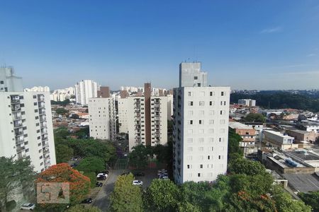 Vista de apartamento para alugar com 2 quartos, 56m² em Jardim Umarizal, São Paulo