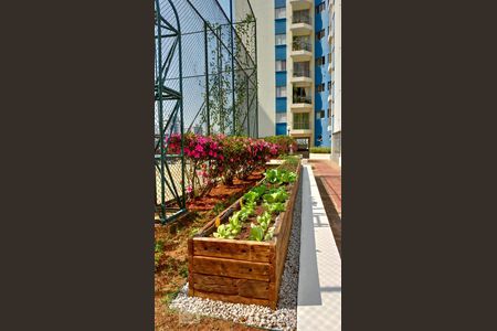 Apartamento à venda com 55m², 2 quartos e 1 vagaHorta Comunitária