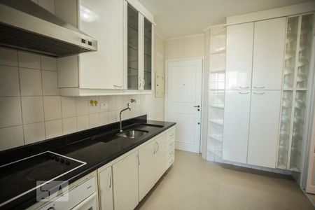 Apartamento para alugar com 83m², 2 quartos e 2 vagasCozinha - Armários