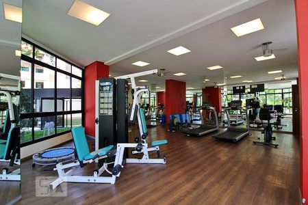 Apartamento à venda com 240m², 3 quartos e 3 vagasAcademia