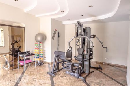 Apartamento à venda com 340m², 4 quartos e 6 vagas Apartamento à venda com 340m², 4 quartos e 6 vagasÁrea comum - Academia