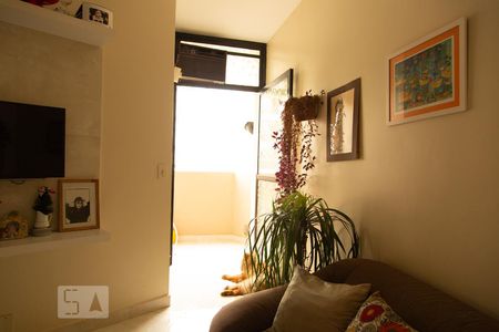 Sala de apartamento para alugar com 1 quarto, 38m² em Indianópolis, São Paulo