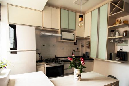 Cozinha - Armários de apartamento à venda com 1 quarto, 40m² em Aclimação, São Paulo