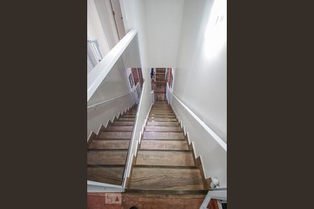 Apartamento à venda com 250m², 3 quartos e 4 vagasescada