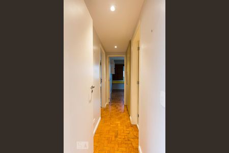 Corredor de apartamento para alugar com 2 quartos, 80m² em Vila Mascote, São Paulo