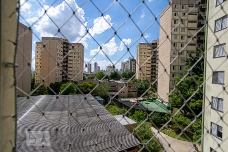 Vista do Quarto 1 de apartamento para alugar com 2 quartos, 58m² em Limão, São Paulo