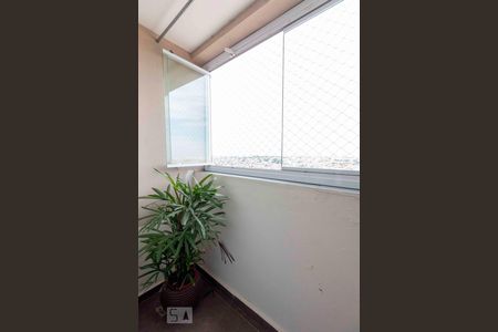 Varanda da Sala de apartamento à venda com 3 quartos, 63m² em Vila Cunha Bueno, São Paulo