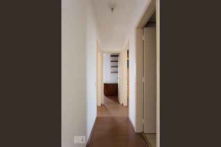Corredor de apartamento para alugar com 3 quartos, 82m² em Vila Progredior, São Paulo