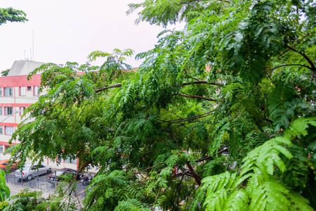 Apartamento à venda com 68m², 2 quartos e 1 vagaVista do Quarto 2