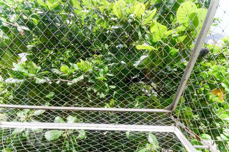 Apartamento à venda com 80m², 3 quartos e sem vagaVista