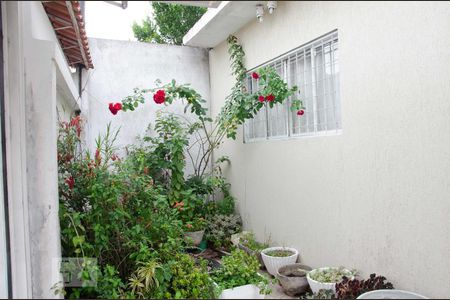 Jardim de casa à venda com 3 quartos, 204m² em Jardim Brasil (zona Norte), São Paulo