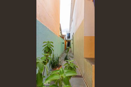 Casa para alugar com 250m², 3 quartos e 1 vagaCorredor Externo