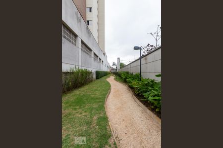 Apartamento para alugar com 65m², 3 quartos e 1 vagaPista de Cooper