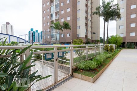 Apartamento para alugar com 65m², 3 quartos e 1 vagaÁrea comum - Piscina