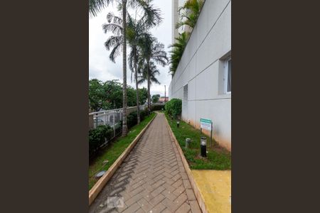 Apartamento para alugar com 65m², 3 quartos e 1 vagaPista de Cooper