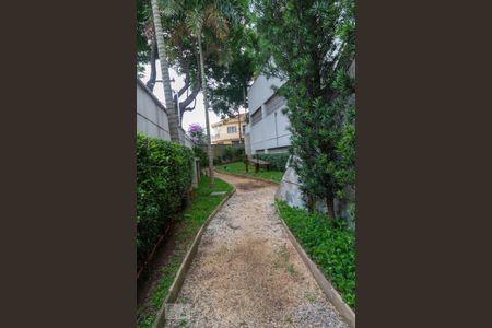 Apartamento para alugar com 65m², 3 quartos e 1 vagaPista de Cooper