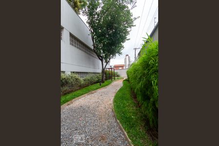 Apartamento para alugar com 65m², 3 quartos e 1 vagaPista de Cooper