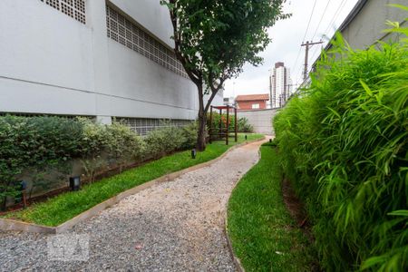 Apartamento para alugar com 65m², 3 quartos e 1 vagaPista de Cooper