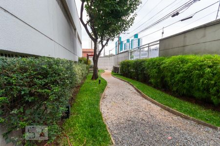 Apartamento para alugar com 65m², 3 quartos e 1 vagaPista de Cooper