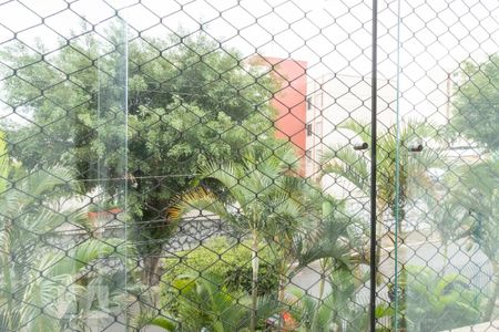 Varanda da Sala de apartamento para alugar com 3 quartos, 65m² em Jardim Itapemirim, São Paulo