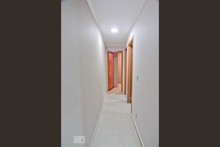 Corredor de apartamento para alugar com 2 quartos, 44m² em Jardim Iris, São Paulo