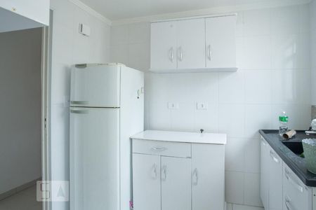 Cozinha de apartamento para alugar com 2 quartos, 50m² em Vila Nova Cachoeirinha, São Paulo
