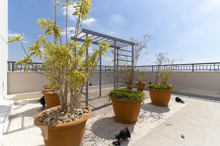 Apartamento à venda com 34m², 2 quartos e sem vaga Apartamento à venda com 34m², 2 quartos e sem vagaTerraço 2