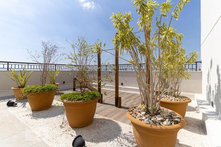 Apartamento à venda com 34m², 2 quartos e sem vaga Apartamento à venda com 34m², 2 quartos e sem vagaTerraço 2