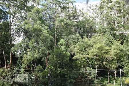 Apartamento à venda com 201m², 4 quartos e 5 vagasVista do Quarto 2