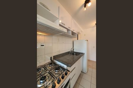 Cozinha de apartamento para alugar com 2 quartos, 55m² em Paraíso, São Paulo