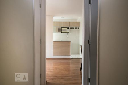 Corredor de apartamento para alugar com 2 quartos, 45m² em Vila Nova Cachoeirinha, São Paulo