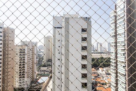 Apartamento à venda com 496m², 5 quartos e 5 vagasVista