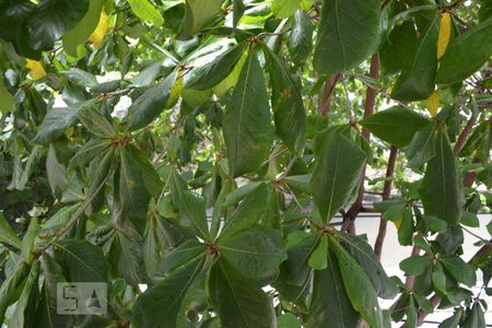 Apartamento à venda com 62m², 2 quartos e sem vagaVista do Quarto 1