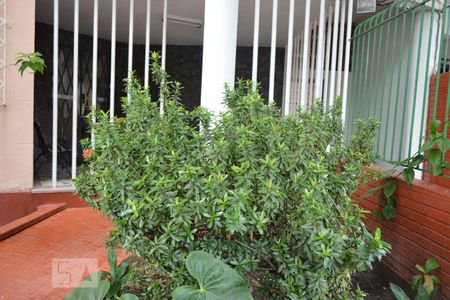 Apartamento à venda com 62m², 2 quartos e sem vagaEntrada Interna