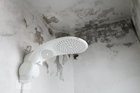 Apartamento à venda com 240m², 5 quartos e sem vagaBanheiro da suíte 2