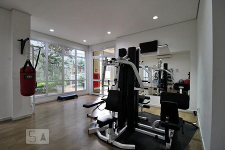 Apartamento à venda com 248m², 4 quartos e 4 vagasÁrea Comum - Academia