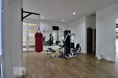 Apartamento à venda com 248m², 4 quartos e 4 vagasÁrea Comum - Academia