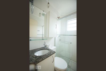 banheiro de apartamento para alugar com 2 quartos, 47m² em Jardim Nova Europa, Campinas