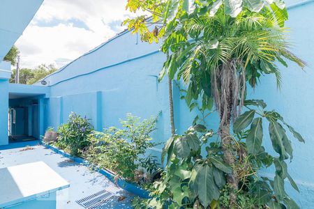 Casa para alugar com 35m², 1 quarto e sem vagaCorredor de Acesso