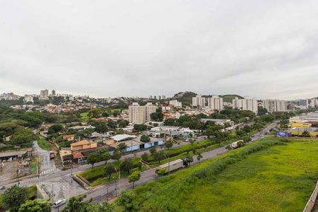 Apartamento à venda com 2 quartos, 60m² em Castelo, Belo Horizonte