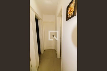Corredor de apartamento para alugar com 3 quartos, 81m² em Vila Ipojuca, São Paulo